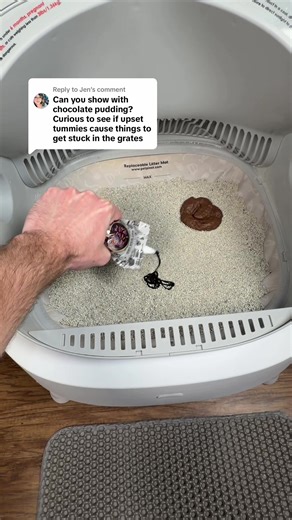 Effortless Cat Care with the Automatic Litter Box