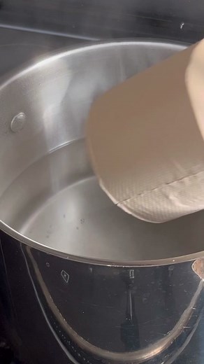 Growing Oyster Mushrooms: A Fun Science Project for Kids