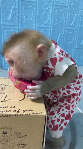 Zim politely ate papaya🙈🥰 #shorts | Zim Family