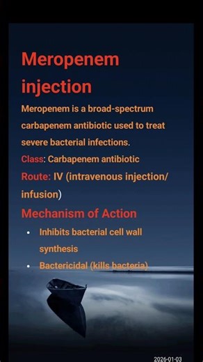 Meropenem Injection: Mechanism, Side Effects, and Nursing Care