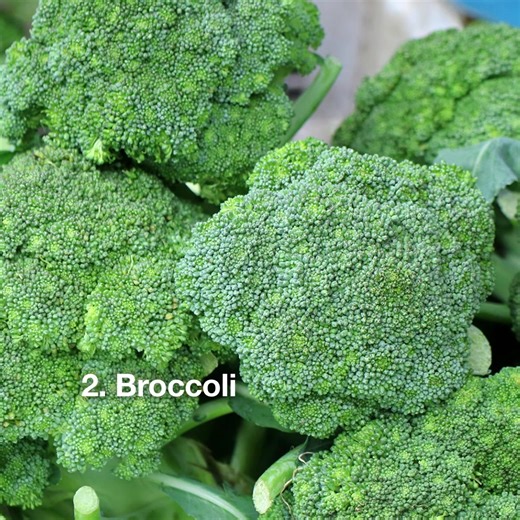 Not ready to put those garden gloves away?  Plant these fall veggies to keep your garden growing. | Troy-Bilt | Facebook