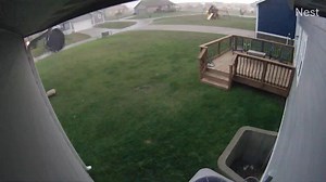 37K views · 292 reactions | Wait for it.....Look what a home security camera captured in central Iowa this morning. Video: Logan Richards | Iowa Storm Chasing Network | Facebook