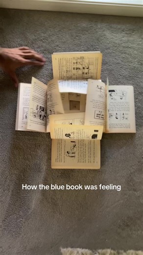 Anticlimactic Moments in Diary of a Wimpy Kid