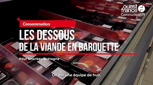 Vidéo. Les dessous de la viande en barquette