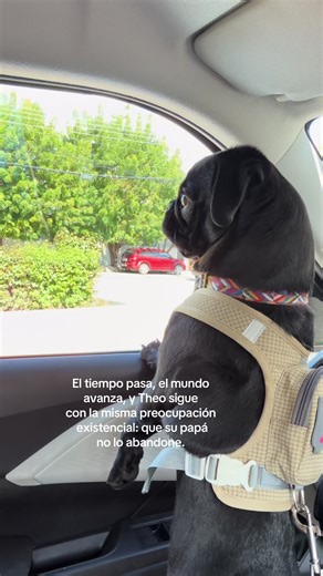 Theo's Existential Worry