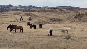 40K views · 6.8K reactions | Hello and Happy Tuesday! We practiced...