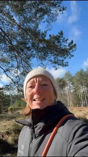 814 reactions · 17 comments | What a beautiful day! This is your sign to get outside and enjoy our planet  | OBKI | Facebook