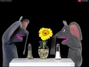 Baby Da Vinci Trailer