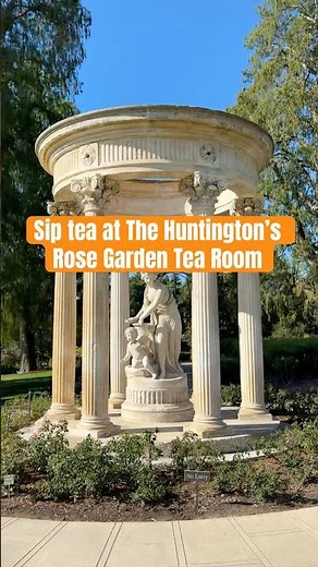 Escape to This Dreamy Rose Garden Tea Experience #shorts