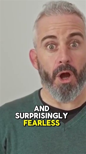 Meet The Fearless Baby Who Would Change Psych #animals #funny #baby #facts #wildlife