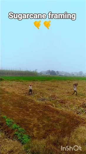 Ist parchi #automobile #jatttyres