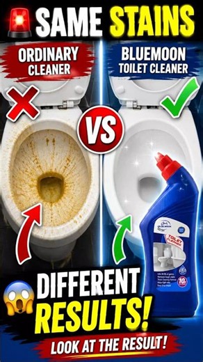 "Ordinary Cleaner vs Bluemoon Toilet Cleaner | Hard Water Stain Test 😱"