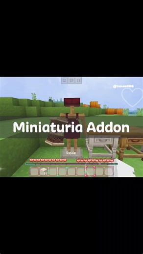 Wink App Addons for Miniaturia in Minecraft
