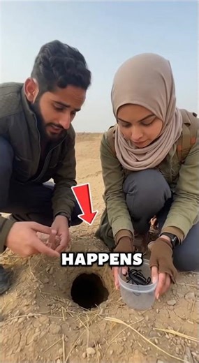 Scorpion Cam POV Gets SCARY 😱🦂🔥