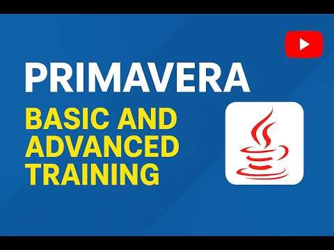 Primavera Basic and Advanced training