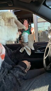 Cooper's Starbucks run! | Jason Crabb