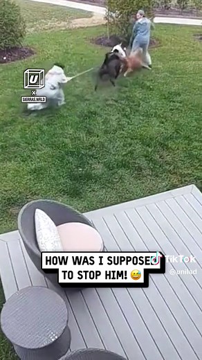 Enjoy the Ride: Fun Moments of Bicycle Adventures