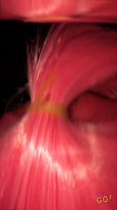 444K views · 1.7K reactions | Who Knew a Washing Machine Could Look This Cool? 勞 #123go | 123 GO | Facebook