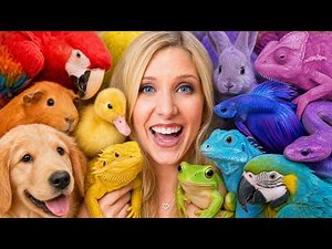 I Adopted Animals in One Color!
