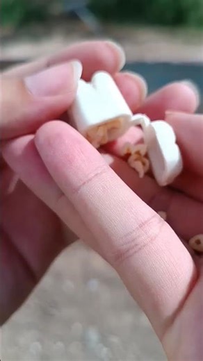 I collected human teeth from an abandoned radioactive swimming pool. Whose are they? #swimmingpools