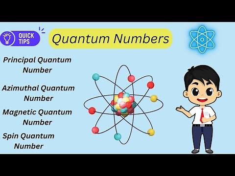 Quantum Numbers: Azimuthal Quantum Number | Magnetic Quantum | Spin Quantum | Class 11 Chemistry