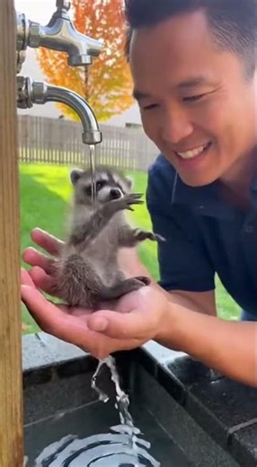 "Tiny Animals Get Rescued by Jim — Adorable Little Animals Life Saving Rescues!"#dog #dogs #puppies