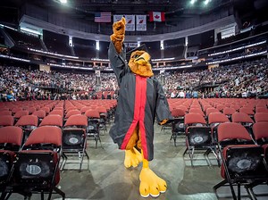 Tips for a Successful Transition to College