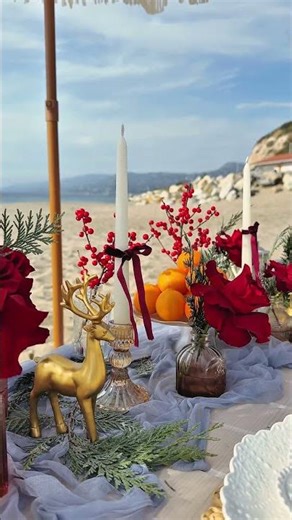 Winter Luxury Picnic | Cozy Beach Setup & Romantic Winter Styling