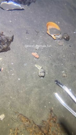 Peer Irfan Ahmed | Computer Coach & Excel Expert on Instagram: "Comment now!"