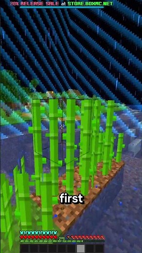 Richest Player In Minecraft #minecraft #minecraftserver #boxmc #donutsmp