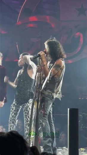 Aerosmith Left the Crowd Speechless