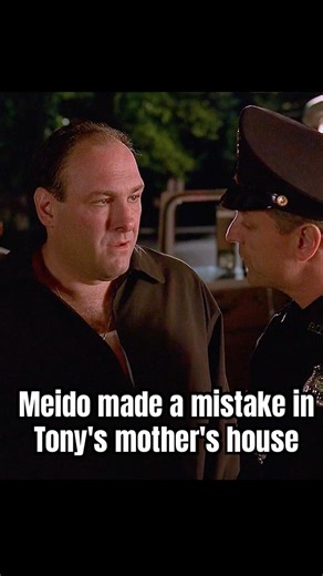 Meido made a mistake in Tony's mother's house. #foryou #thesopranos #series #shorts #drama