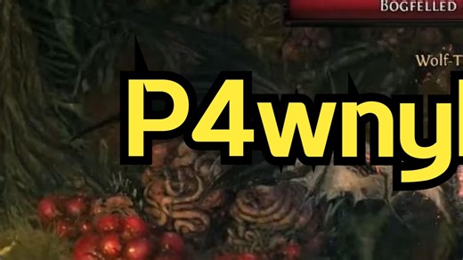 流放之路2 0.4 P4wnyhof ：飞龙萨满day4