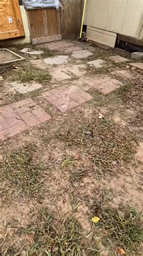 Andrea Powell Shipley on Reels