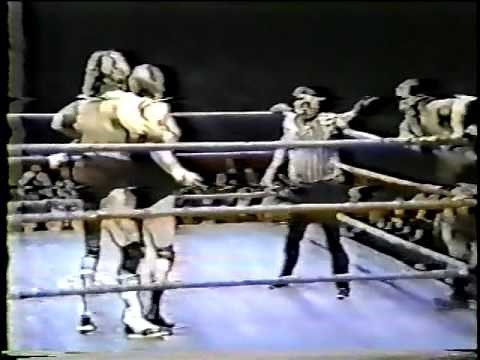 Jesse Ventura & Adrian Adonis vs Kenny Jay & George Gadaski
