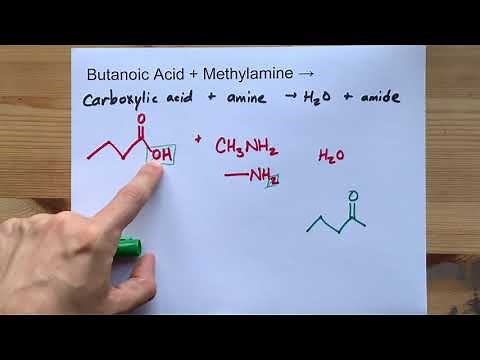 Butanoic Acid + Methylamine = ?? (N-methylbutanamide + Water)