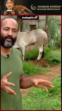 "நாட்டு மாட்டை நம்ம காப்பாத்தணும்"Actor Kishore💔 | Farm Tour