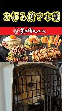 【大食い注意】お好み焼き食べ放題が神すぎた！お好み焼本舗 東加古川店【衝撃】これ全部食べ放題！？お好み焼本舗が想像以上だった！【満腹確定】お好み焼き・串カツ・鉄板焼き食べ放題がヤバすぎる！
