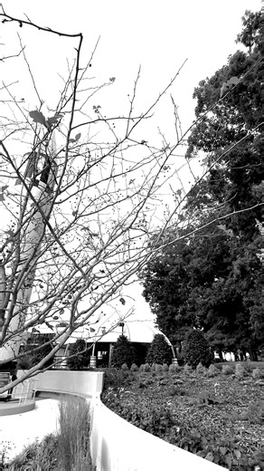 🎃 Stroll through Rocket Park…if you dare. 👀 Spooky whispers, shadowy figures, and a full-on haunted spacewalk await you. 👻 Don’t just watch - feel the chills of our family-friendly Spooky Space Spectacular at the U.S. Space & Rocket Center! 👉 Secure your passage into the unknown (and lots of candy!) now: https://www.rocketcenter.com/content/spooky-space-spectacular2025 | U.S. Space & Rocket Center