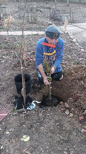 Planting Our Special Tree: #familyvlog #family #familytime #fun #spring #nature #tree #plants #life