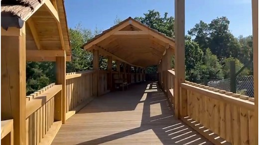 44K views · 491 reactions |  NEW TIGER VIEWING PLATFORM – NOW OPEN!...