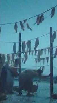 legend of the blue sea episode 1 part 1