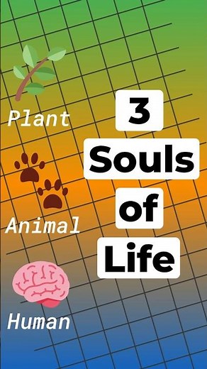 Aristotle’s Theory of Soul Explained in 60 Seconds | 3 Types of Soul 🧠✨