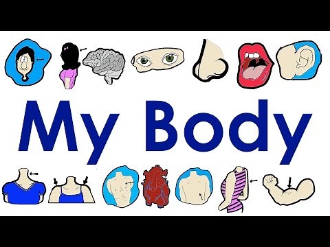 Parts of The Body | Vocabulary Practice | Easy English Practice | ESL.