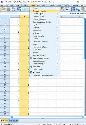 Cara Uji Chi Square Tabel 2x3 - Uji Chi Square dengan SPSS #shorts #spss