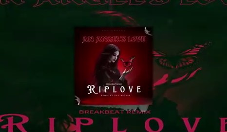 DJ An Angel's Love x Riplove Remix Breakbeat (Stadium Vibes)
