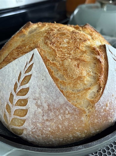 Step-by-step instructions for scoring and baking your sourdough bread. #sourdough #sourdoughbeginner #sourdoughtok #sourdoughscoring #sourdoughbread