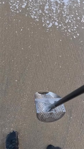 Seek and Detect on Instagram: "Tiffany & Co. ring found on the beach 💍 #metaldetecting #tiffanyandco #treasure #ckgsandscoop #detectorwarehouse"