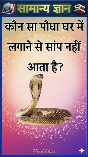 Top 50 ✍️ IAS Level GK Questions 🔥 | Most Important GK Question Answer | Part-3205#gkshorts #amazing