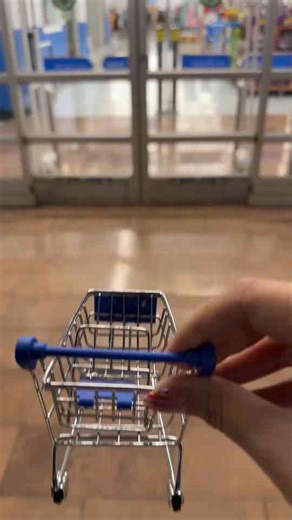 Night Shopping Adventures at the Mini Superstore!